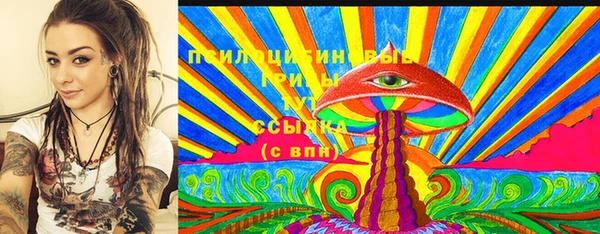 PSILOCYBIN Балабаново